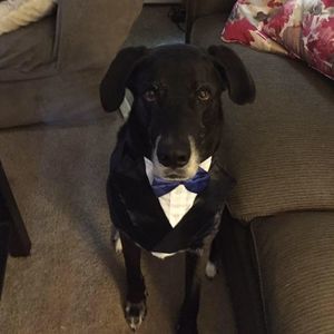 Meet your Posher, Pete